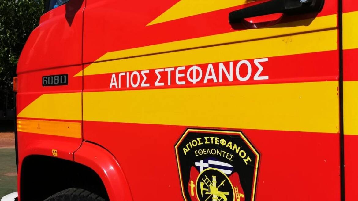 Πυρκαγιά στον παράδρομο της Εθνικής στις Αφίδνες