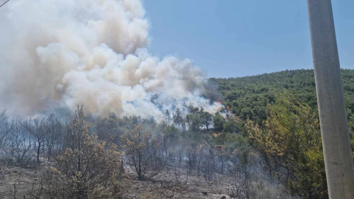 Πρυρκαγιά εν υπαίθρω Άνω Σούλι Αττικής