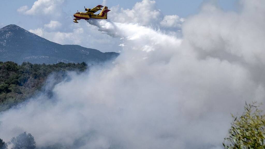 Φωτιά στα Κατηφόρια 12/08/2025