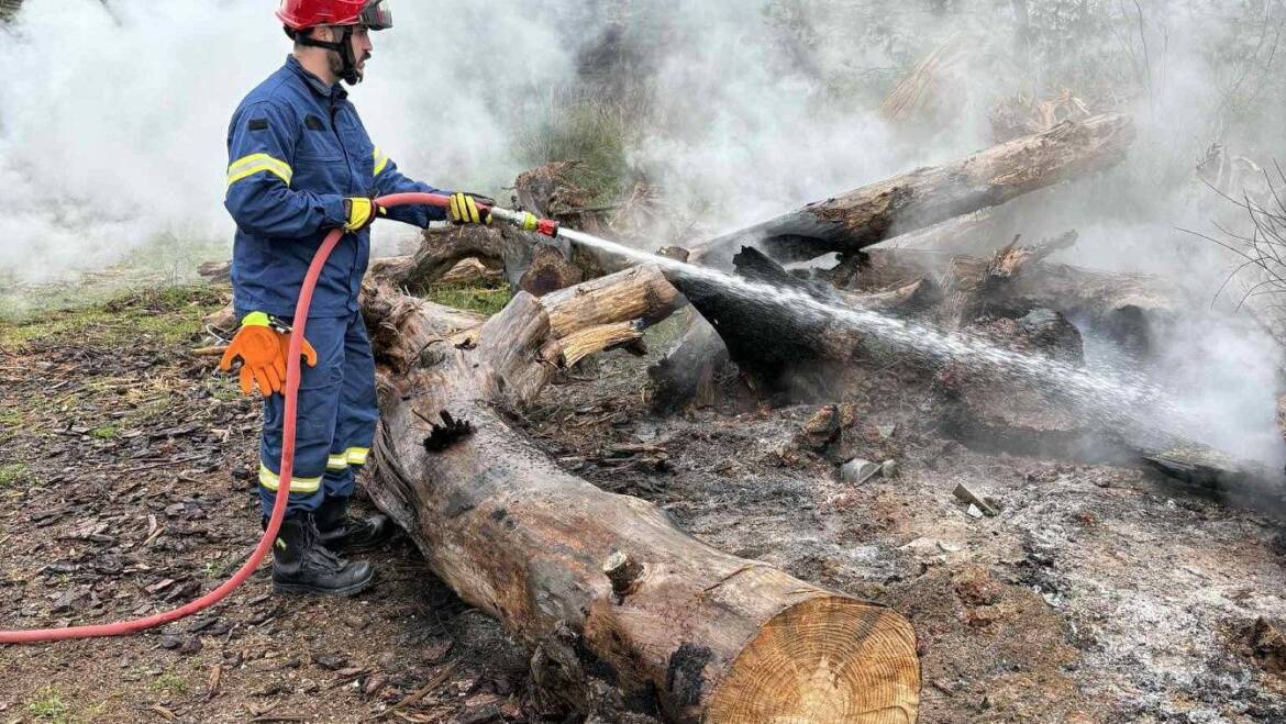 Πυρκαγιά εν υπαίθρω 10 Φεβρουαρίου