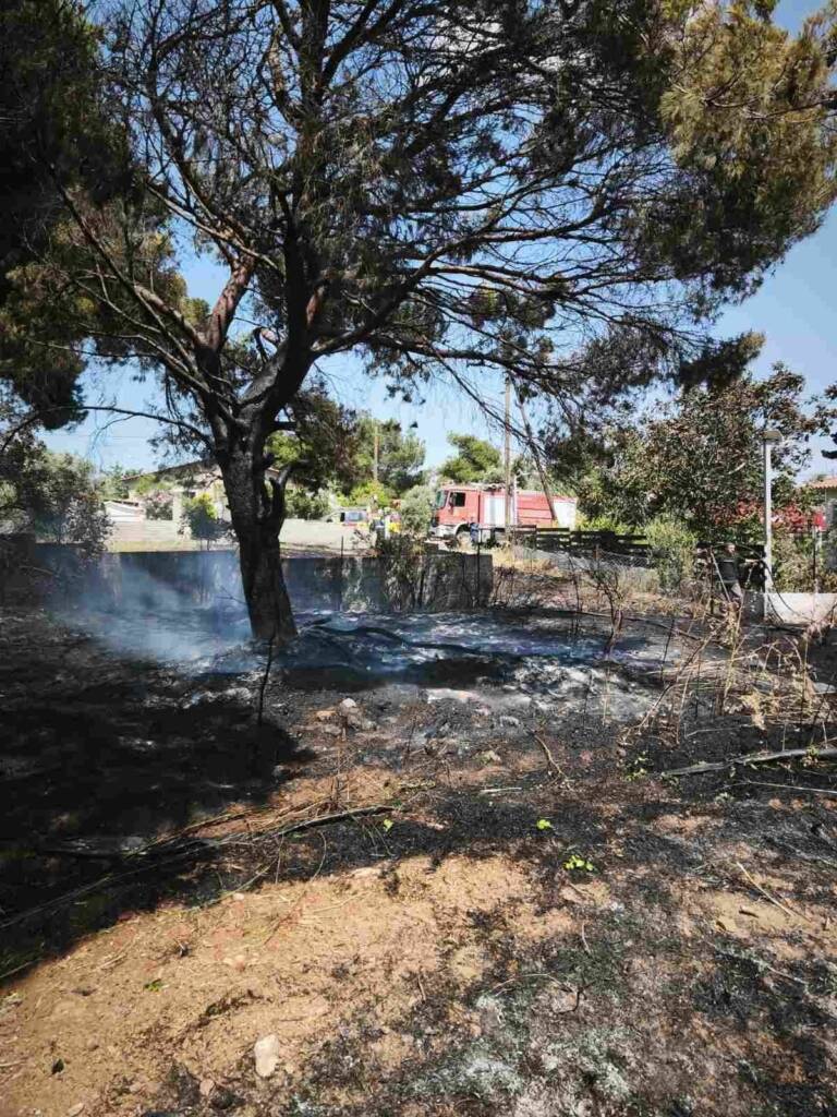 Πυρκαγιά εν υπαίθρω στο Κρυονέρι